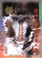 石景宜藏当代名家系列之:徐培晨图书猿猴大观 1999 PDF电子版封面 9621800315 石国基著