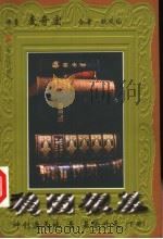 稳固根基:神创造天地至基督降临 下 1999.07 PDF电子版封面 7801231821 麦奇宏原著;欧凤仙合著;圣路易中华福音教会译