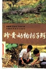 珍贵动物扬子鳄 1984 PDF电子版封面 13200·55 陈壁辉等著