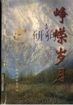 峥嵘岁月   1999  PDF电子版封面  7507306356  吴烈著 