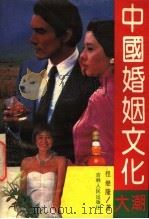 中国婚姻文化大潮 关于中国婚姻现状的社会学反思 1991 PDF电子版封面 7206012248 程继隆著
