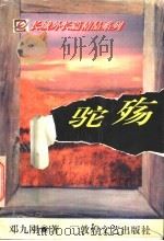 驼殇 1996 PDF电子版封面 7805873267 邓九刚著