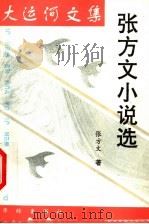 大运河文集 方文小说选 1997 PDF电子版封面 7800828654 张方文著