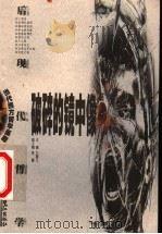 破碎的镜中像：后现代哲学（1999年08月第1版 PDF版）