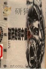 破碎的镜中像:后现代哲学 1999 PDF电子版封面 7806107681 文聘元主编