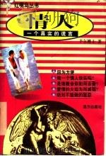 情人 一个真实的谎言 1998 PDF电子版封面 7805954372 丰尔著