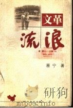 文革流浪 1999 PDF电子版封面 7538713611 雁宁著