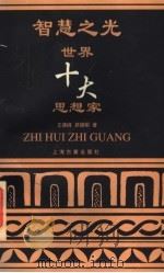 智慧之光 世界十大思想家 1996 PDF电子版封面 7532521303 王德峰,吴晓明著