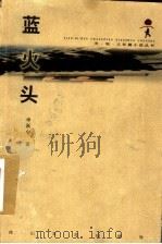 蓝火头 1999 PDF电子版封面 780611825X 申跃中著