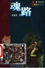 魂路 1999 PDF电子版封面 7806540865 杨福泉著