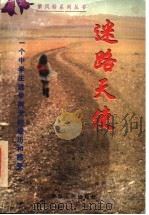 迷路天使 一个中学生逃学两天的经历和感受 1998 PDF电子版封面 7542502751 罗萌著;邱易东主编