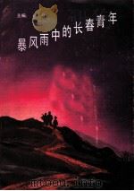 暴风雨中的长春青年 1989 PDF电子版封面 王磊主编