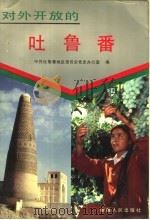 对外开放的吐鲁番 1993 PDF电子版封面 7228026365 中共吐鲁番地区委员会党史办公室编