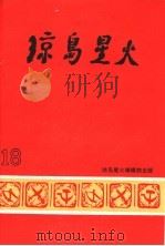 琼岛星火  第18期（1989 PDF版）