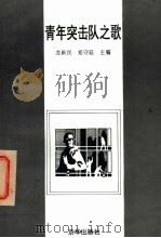 青年突击队之歌 1996 PDF电子版封面 7806001646 龙新民,郑守廷主编