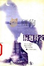 标题待定 1999 PDF电子版封面 7531422557 赵亮晨编剧