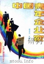 中国青年企业家 1991 PDF电子版封面 7504311499 石中元主编;杜长义,李宁轩副主编