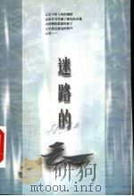 迷路的云 1999 PDF电子版封面 7501519102 林清玄著