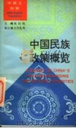 中国民族政策概览 中英文对照 1995 PDF电子版封面 7010022585 吴仕民主编