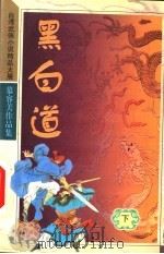 黑白道 下 1993 PDF电子版封面 7204032969 (台湾)慕容美著