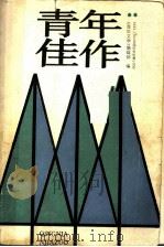 青年佳作 1988-1989全国优秀短篇小说选 1990 PDF电子版封面 7500607334 《青年文学》编辑部编