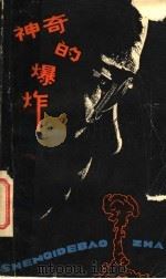 神奇的爆炸 1981 PDF电子版封面 10158·593 李凡,青羊著