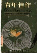 青年佳作 1987年选本 1989 PDF电子版封面 7500608894 《青年文学》编辑部编
