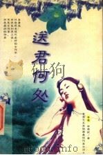 送君何处 1998 PDF电子版封面 7805955476 林燕妮著