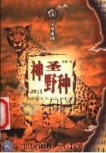 神圣野种 动物之卷 1997 PDF电子版封面 7535723845 徐刚著