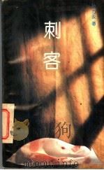 刺客 1994 PDF电子版封面 7215029530 孙方友著