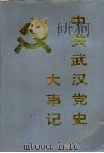 中共武汉党史大事记 1919-1987 1989 PDF电子版封面 7307005832 中共武汉市委党史办公室编
