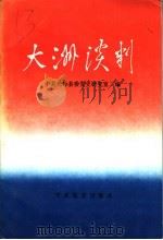 大洲谈判 1995 PDF电子版封面 780023181X 中共光泽县委党史研究室编