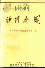 沙河春潮 1993 PDF电子版封面 7212010103 杨民清主编;中共界首市委党史办公室编