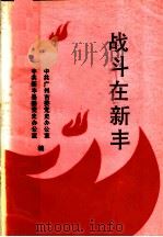 战斗在新丰 1989 PDF电子版封面 721800332X 中共广州市委党史办公室,中共新丰县委党史办公室编