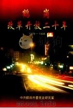 鹤岗改革开放二十年（1998 PDF版）