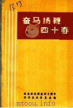 奋马扬鞭四十春 PDF电子版封面 纪念清流解放四十周年活动组织委员会编
