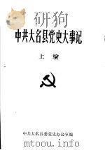 中共大名县党史大事记 上编 1989 PDF电子版封面 中共大名县委党史办公室编