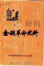 金湖革命史料  第1辑（1984 PDF版）