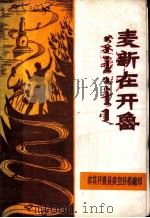 麦新在开鲁（ PDF版）