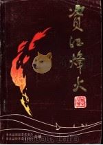 资江烽火  新民主主义革命时期益阳县党史资料汇编（ PDF版）