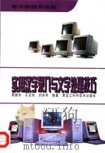 实用汉字录入与文字处理技巧 1997 PDF电子版封面 7538831150 周颜军等编著