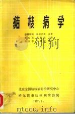 结核病学 上、下合订本 1987 PDF电子版封面 岩井和郎,岛尾忠男合著;肖成志,李恩江主译;明安宇,刘肇域等