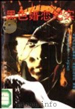 黑色婚恋纪实 1993 PDF电子版封面 7800618153 辛汝忠著