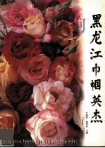 黑龙江巾帼英杰 1995 PDF电子版封面 7207031262 于清贤,杨明远主编