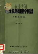 巴氏脱落细胞学图谱 女性生殖系统部分 1978 PDF电子版封面 章志安译