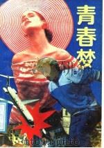 青春梦 1988 PDF电子版封面 7314003173 (美)华莱士(Wallace,I.)著;方英义等译