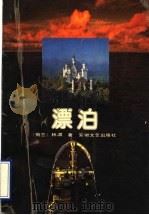 漂泊 1994 PDF电子版封面 7539609109 (荷兰)林湄著