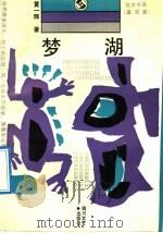 梦湖 1991 PDF电子版封面 7541107174 黄一辉著
