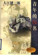 青年的污名 1996 PDF电子版封面 7506310279 (日)大江健三郎著;林怀秋译