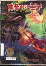 神奇的小王子 1989.12 PDF电子版封面 7533205286 仉玉才,仇雁秋著